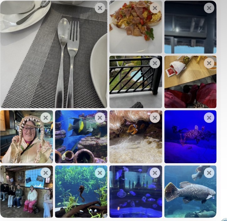 Day 2 in South Africa – Breakfast Views & uShaka Marine&nbsp;World